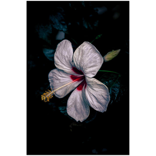 4efe612b-f797-458f-b460-15d604e16bfd