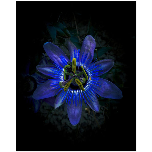 5d850b01-d2e1-4c3a-9be1-55ac0a3d1769