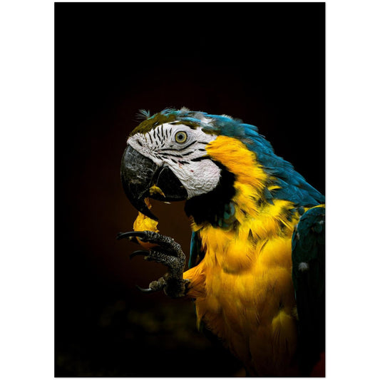 5fe84f14-5b28-4d78-ac8a-07513c25de8c