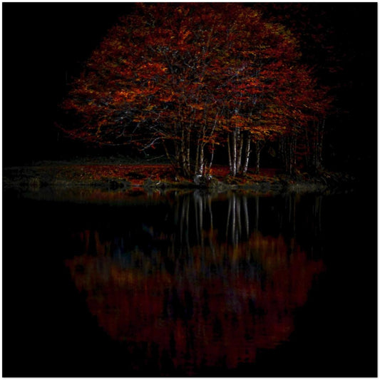 730dc413-5be0-497a-a1a5-b6094af4f73a