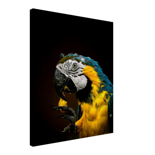 7cb45c6f-2ebf-442a-96f9-10f5e7430fa1