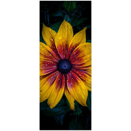 a4d4a1d9-78a8-47f8-8c90-63d6a9a61d39