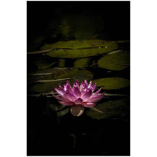 c37a525c-5cd1-4f73-8f3a-da9e1ee70154