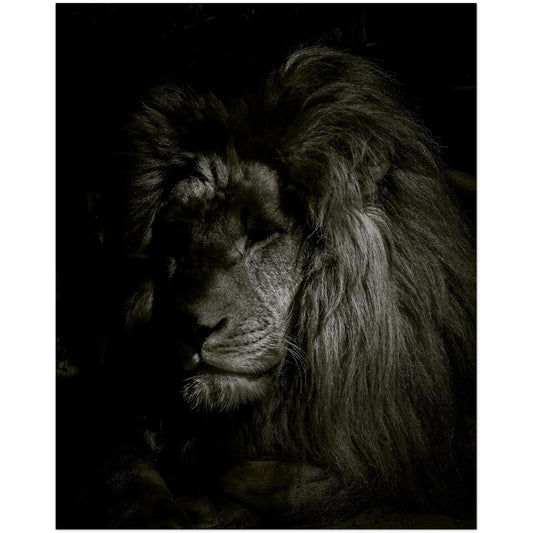 f923b0c0-44eb-49ac-9c58-929e0462f5ee