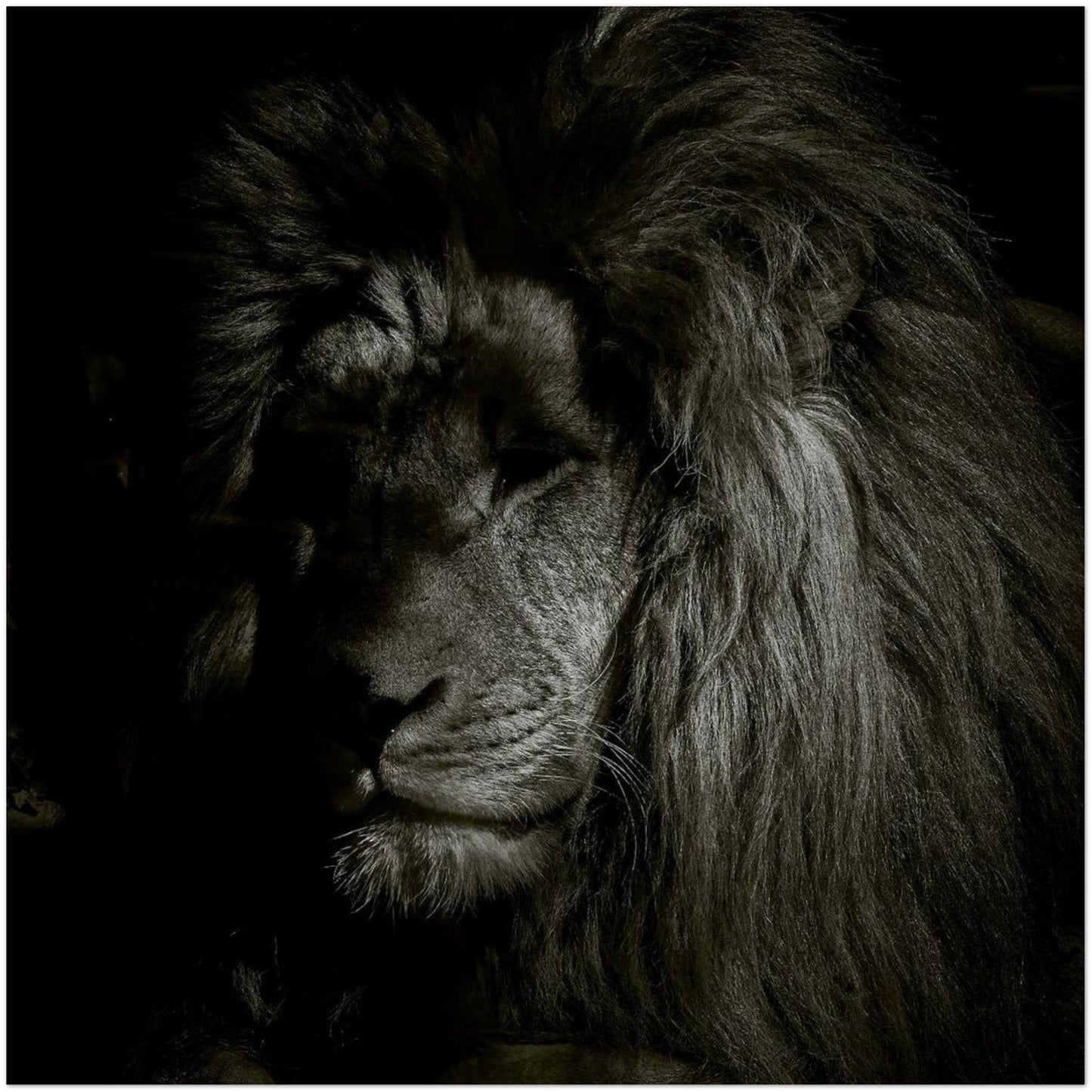 01084866-5027-4f8e-8ba1-58ea93573e85