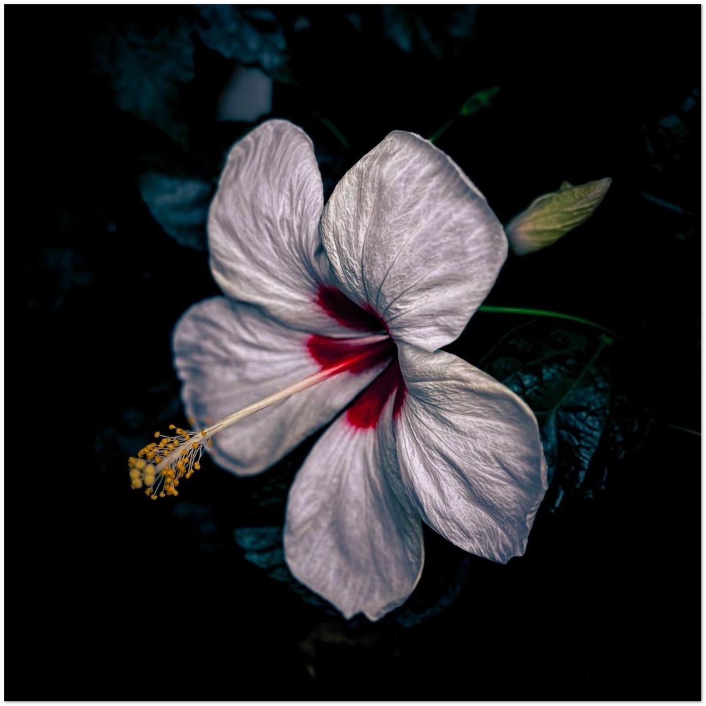 03286476-224b-46e5-a644-14463d14f431