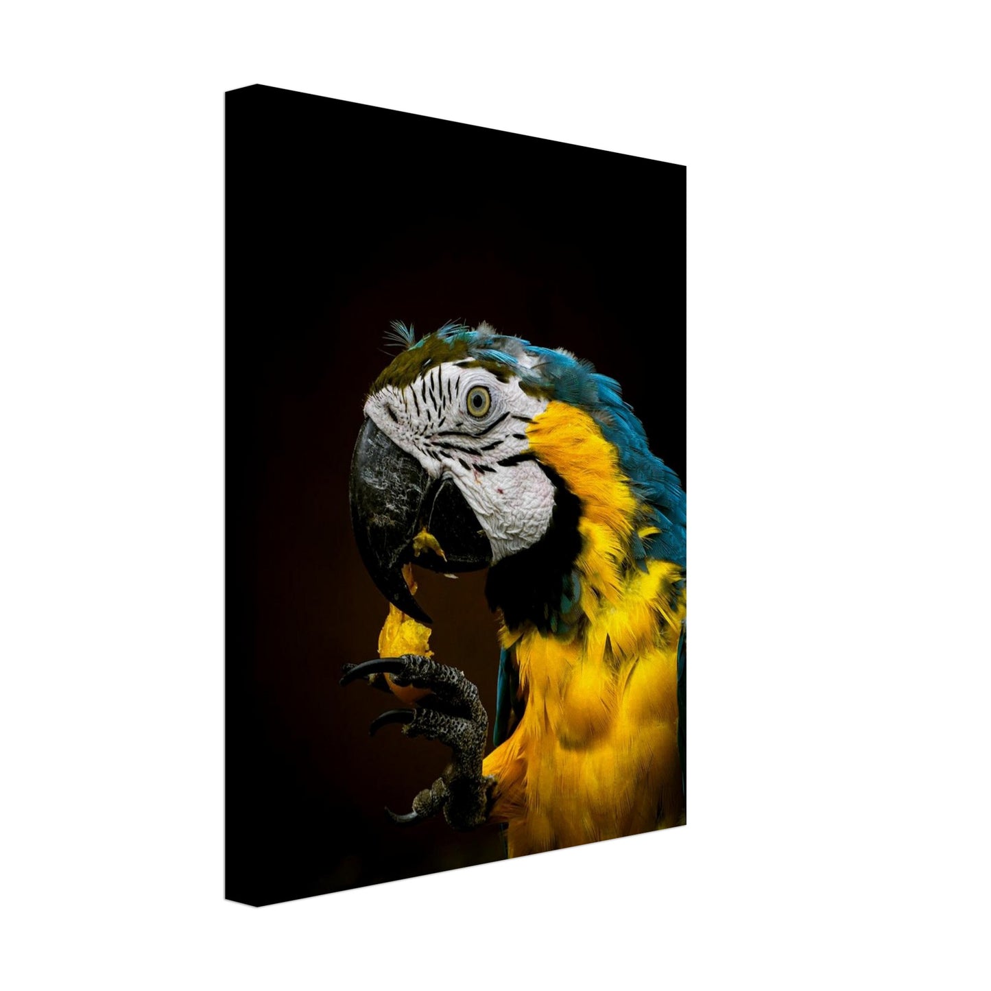 03556d2c-0f3d-4066-8ba7-421506b39f2f