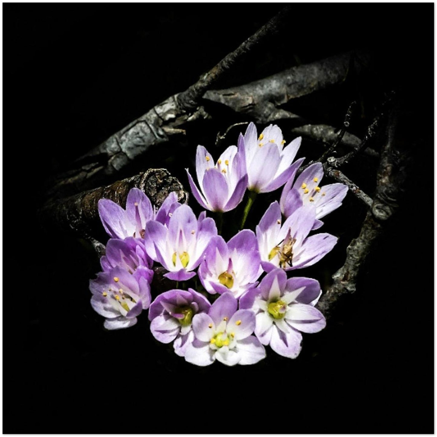 0428fbb8-b83b-4a57-a2c3-b21a8ebea17a