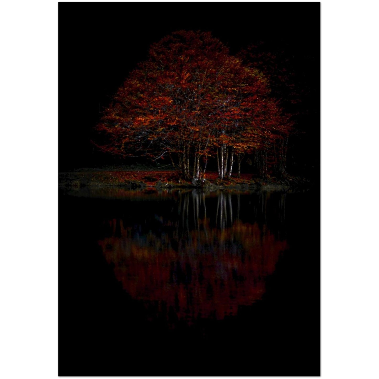 064b2dfb-4e4a-4fa0-a75a-633d6dad658e