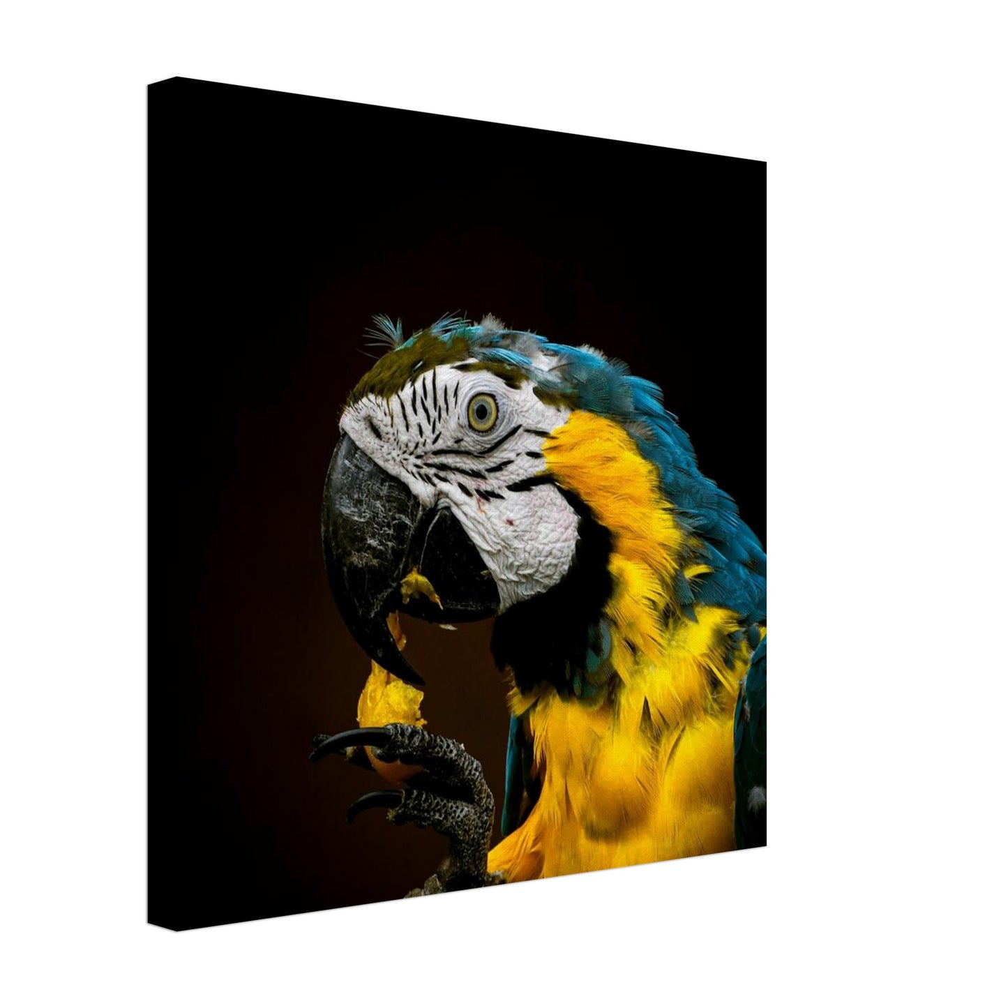 07399c0a-2a73-4e6d-a492-ddaca60f7d1e