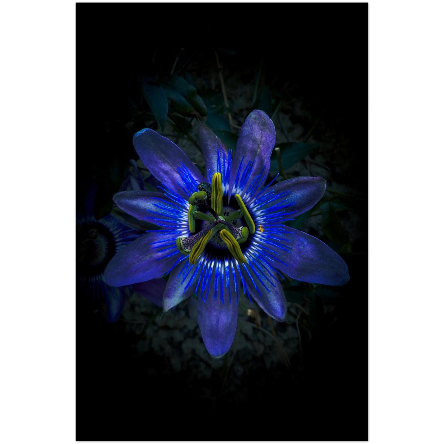 077db49c-83c7-40c0-92d7-e02132e95367