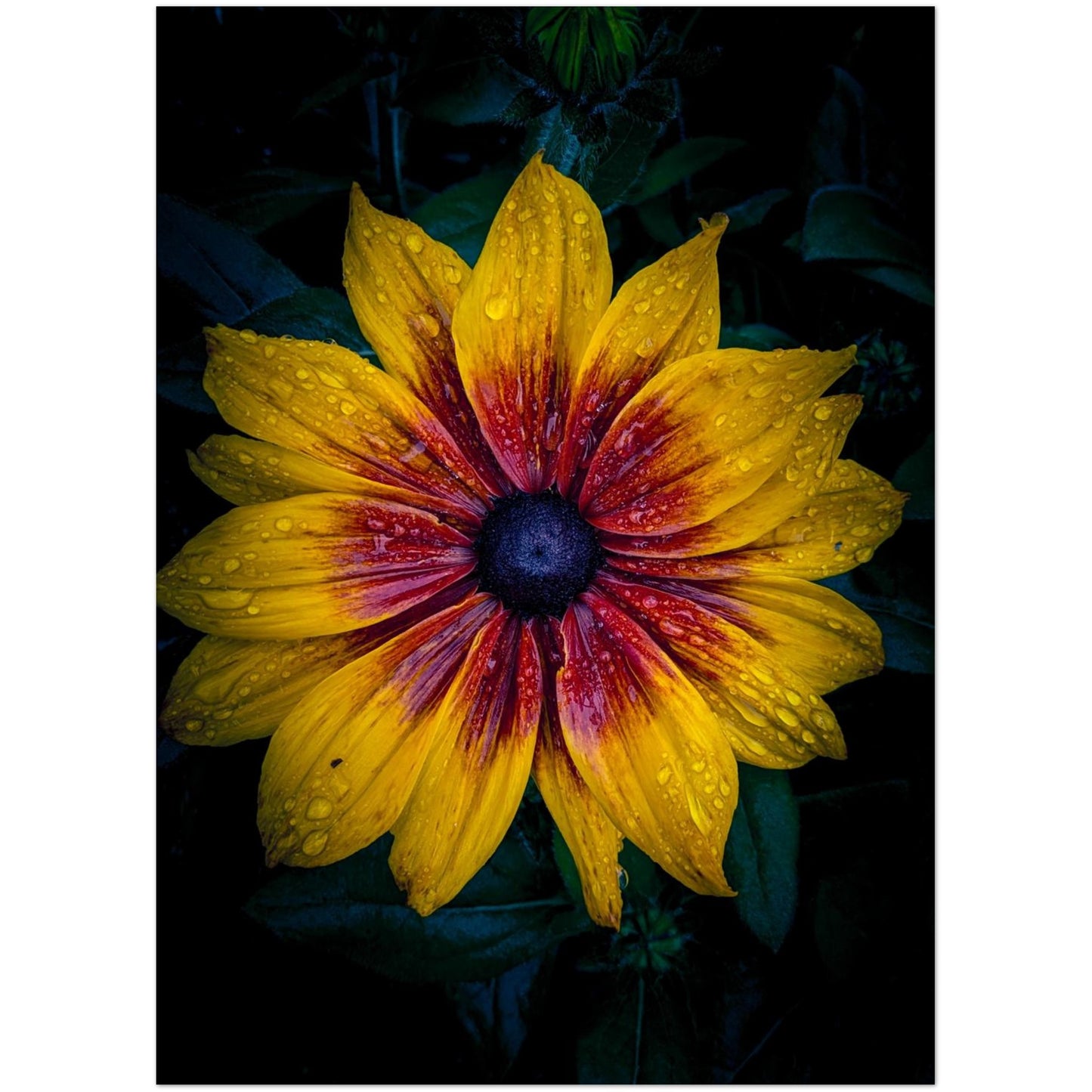 07d21f3f-be02-489c-8bbf-c29105b70831