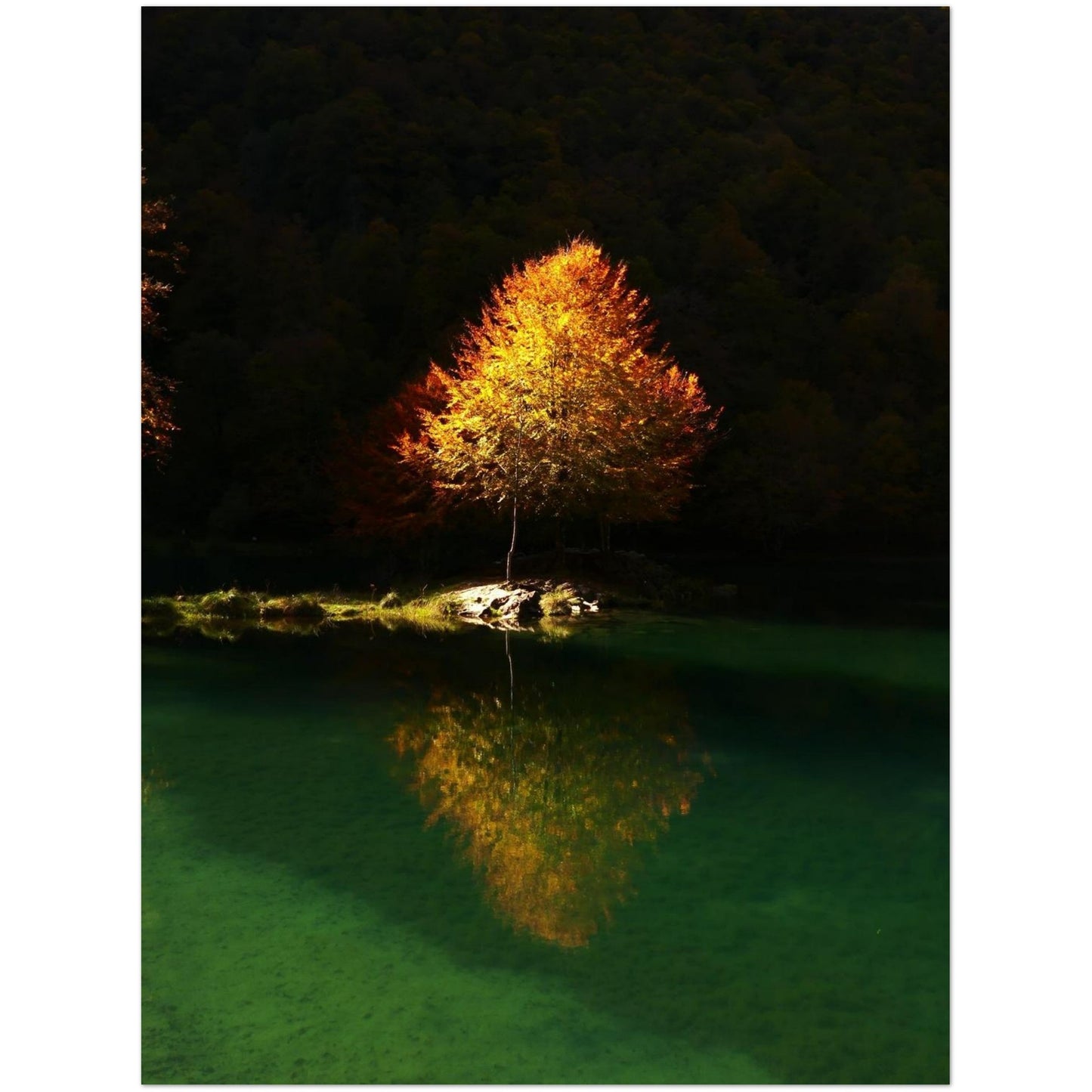 08450eb2-796f-4e2c-b3cc-7aa4f54435cf