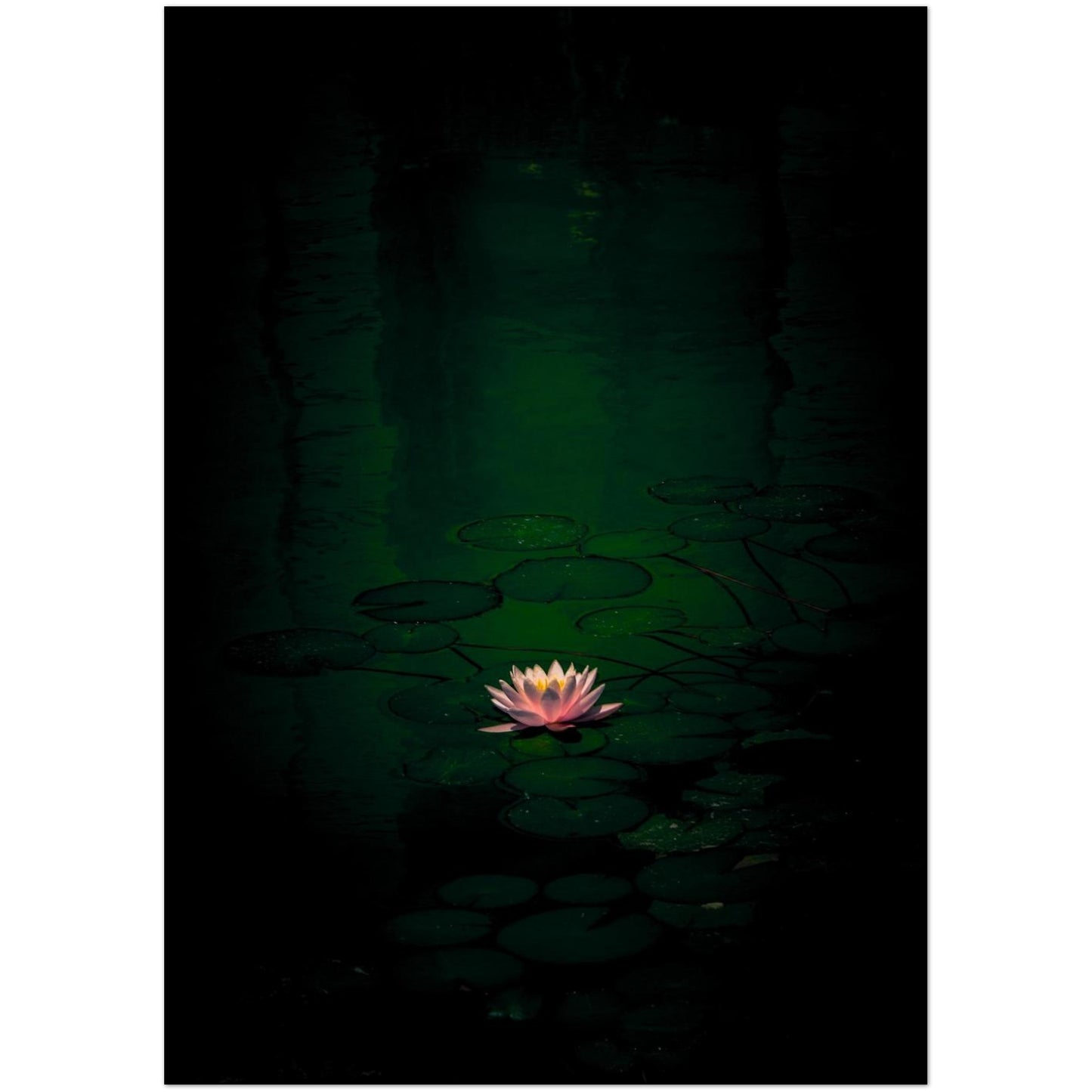 0882bfb3-0382-4388-acd5-5f0fb69dfbc0