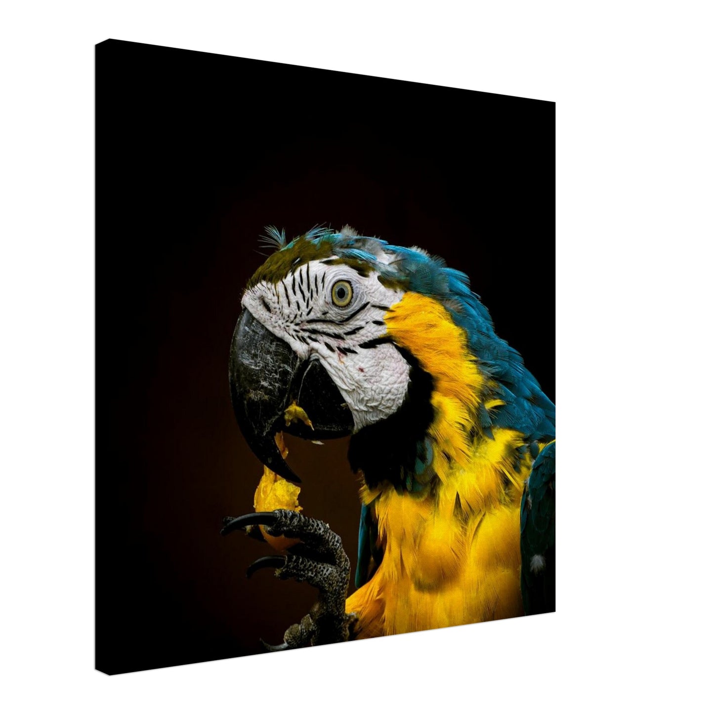 08970663-d4e5-4f61-b2f2-ad9bca6b0ac1