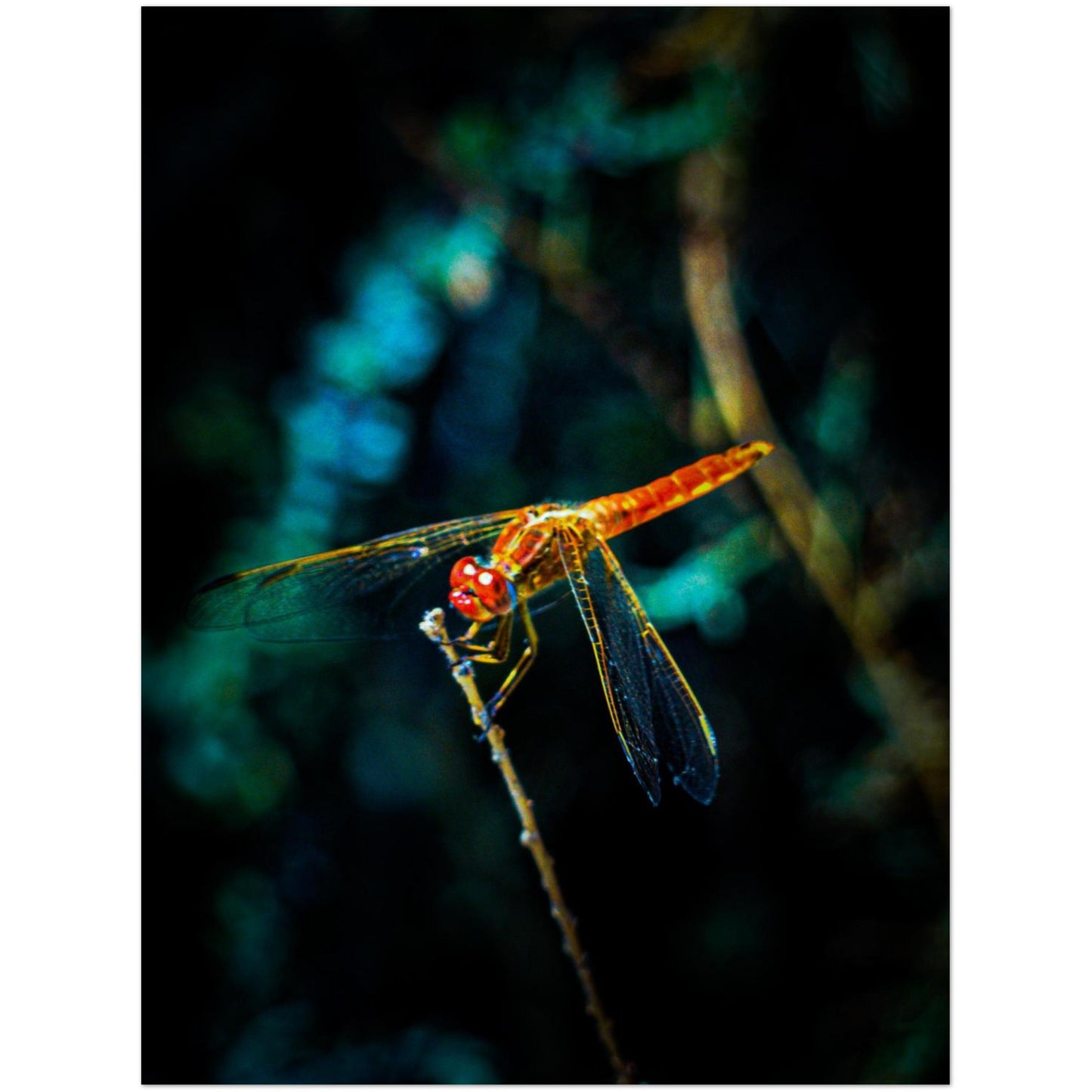 09e571ee-2f92-455e-9e32-147f734339de