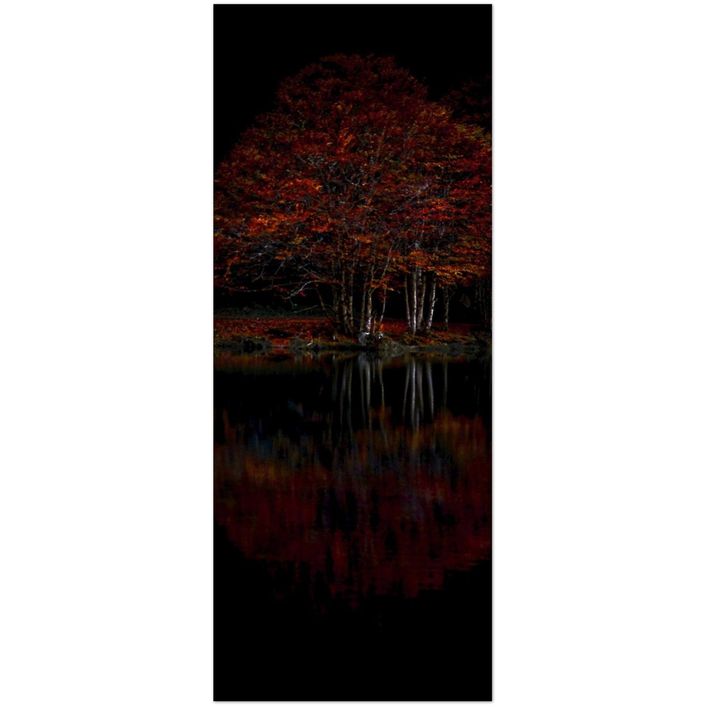 0cc6c635-3fc8-43f3-a9c9-075612ac5c99