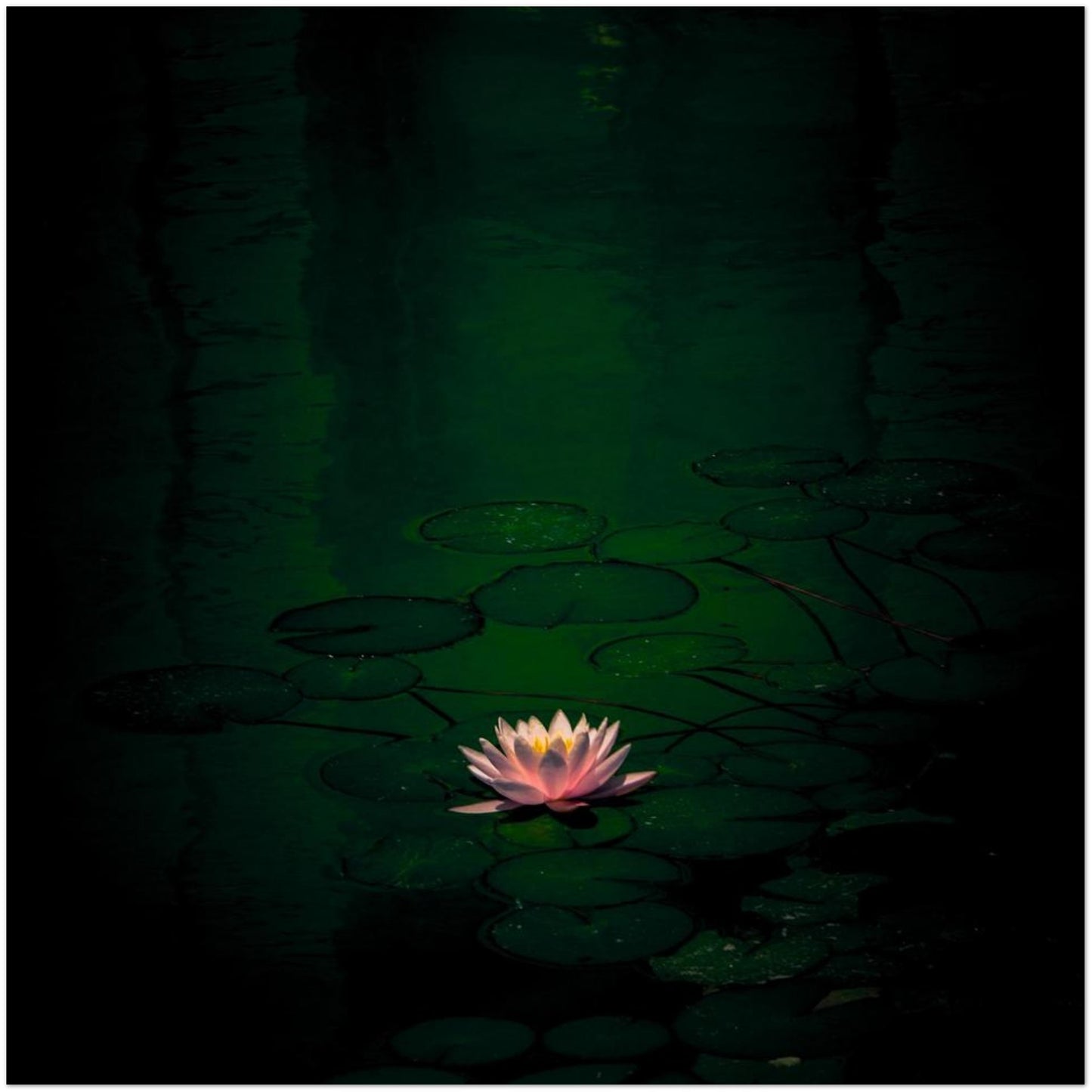 0d40ca51-138f-4084-9313-bf89c128811e