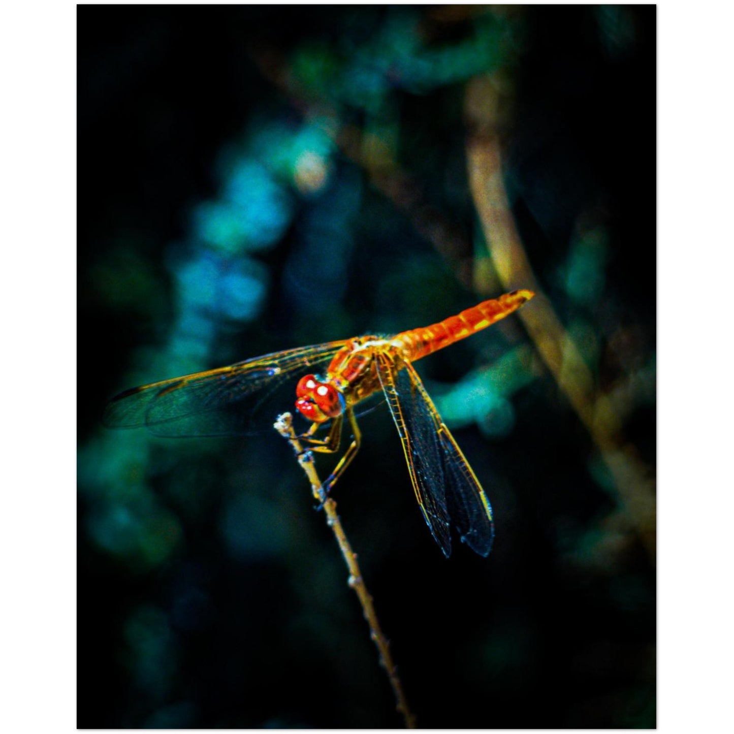 0e913677-5fac-424e-acd3-886274960ebe