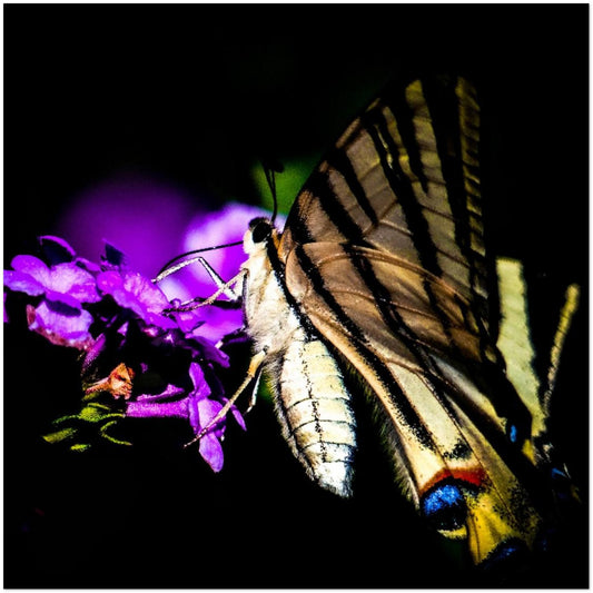 0ed3f248-e783-4e60-a222-5de26a040400