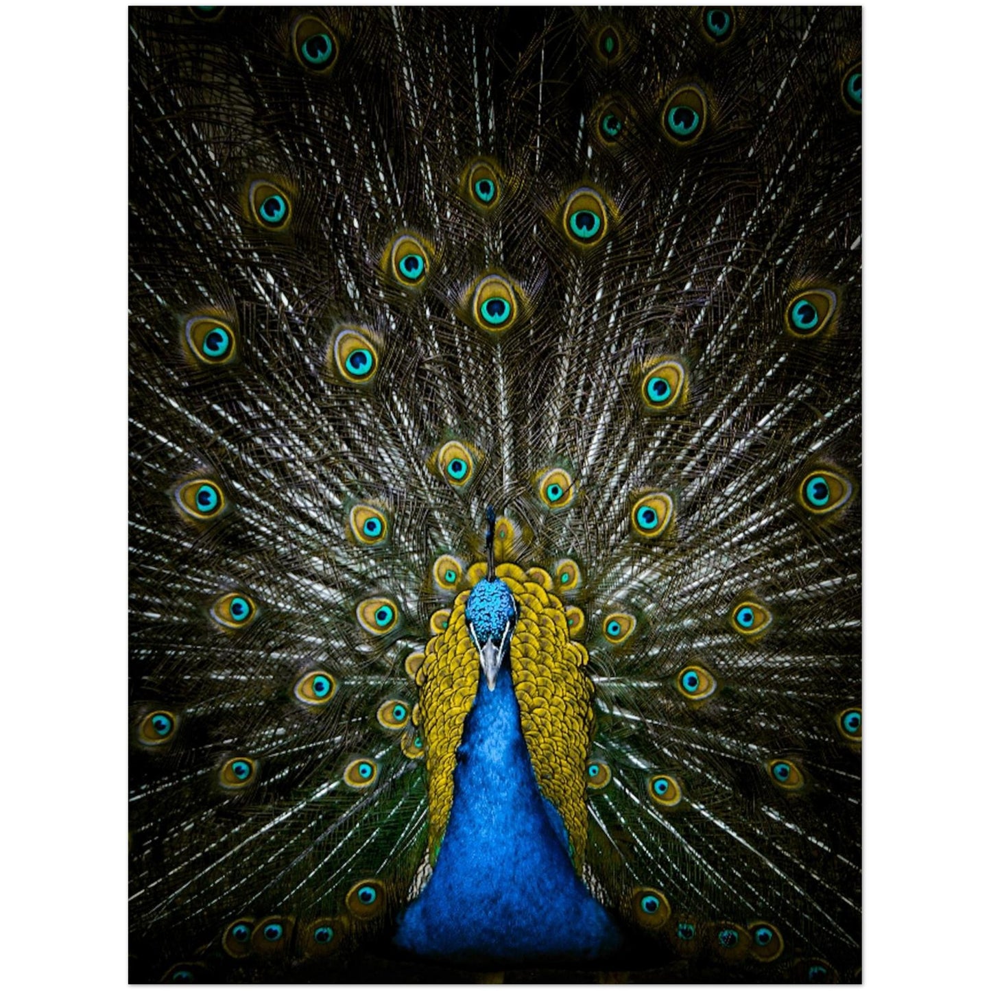 0f6e17f7-2065-4e9c-813f-0fd0cda5421a