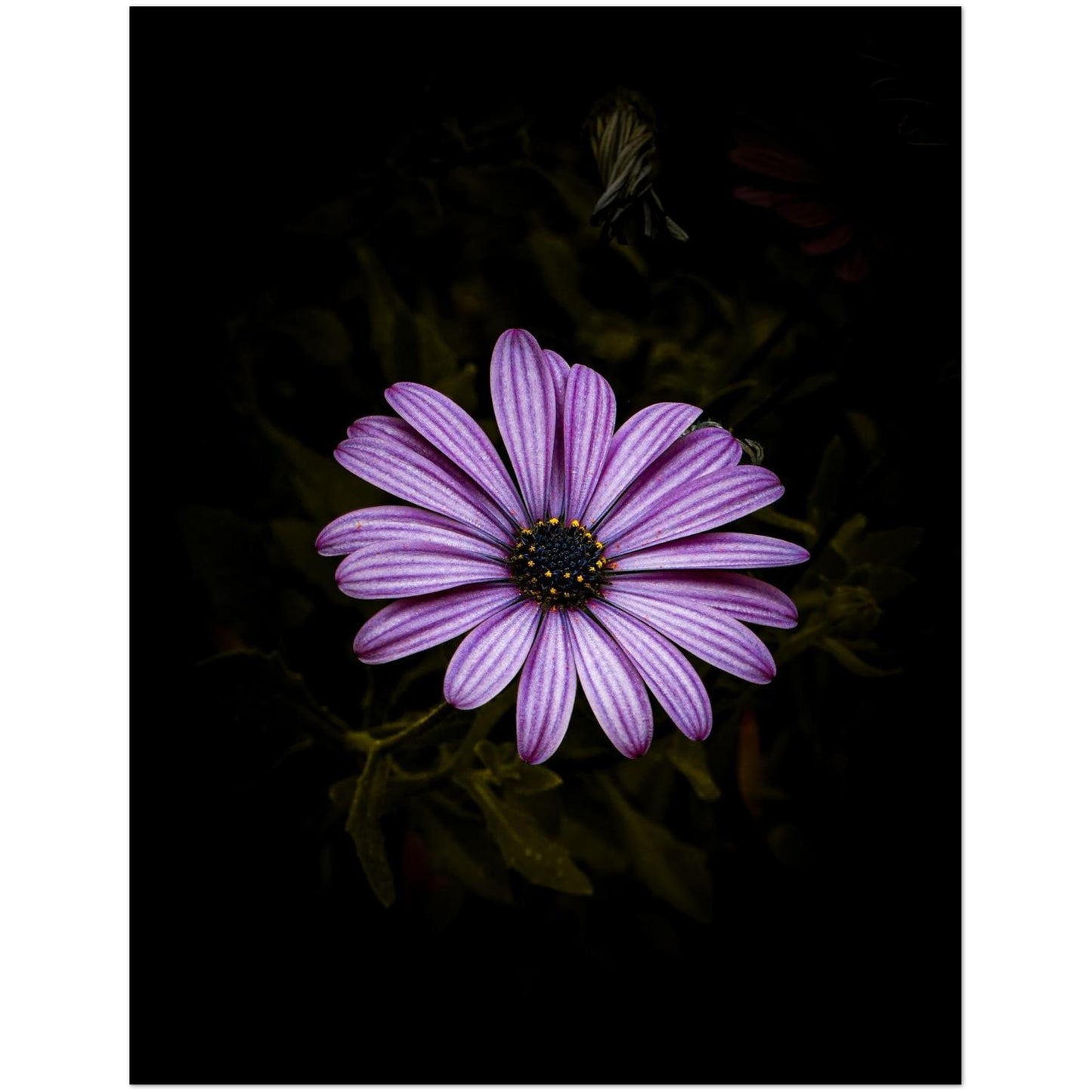 1014132e-7c52-4ee4-bd38-67aea8bf3573