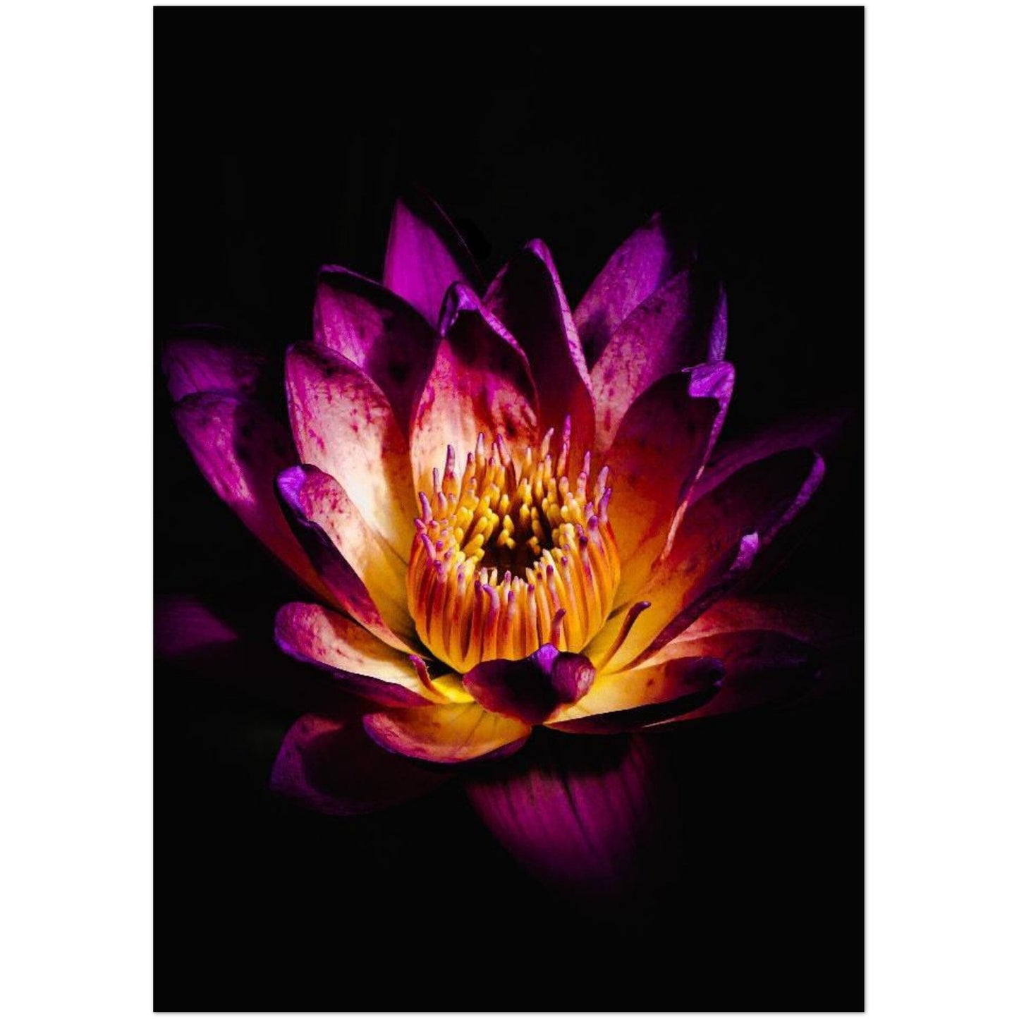 11c827c9-f6e5-41a1-96a6-fab0327ad5b7