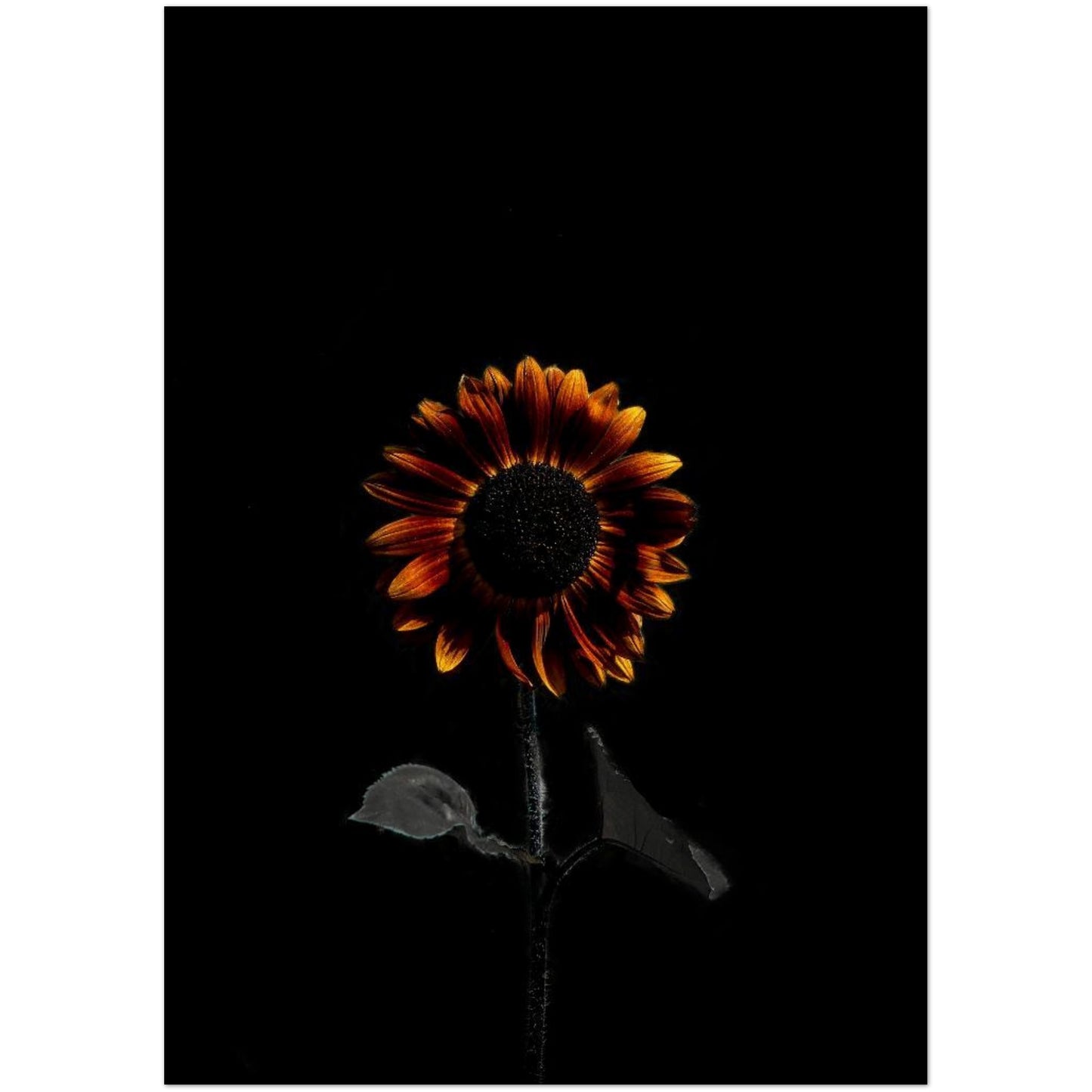 12653e07-831a-48d1-b2e9-6dffe8e58a7d