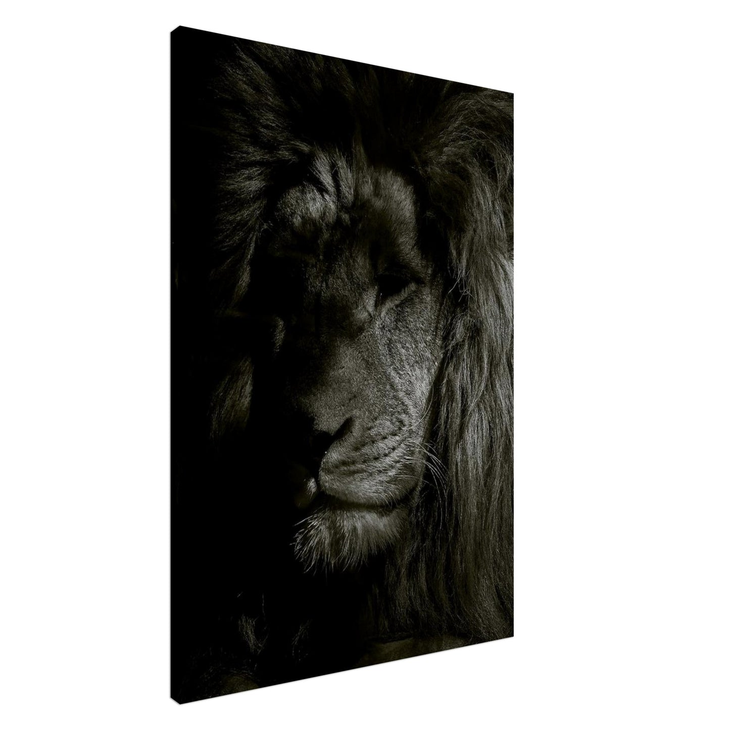 12b732cd-90fb-4d4b-903f-68e8c655c08a