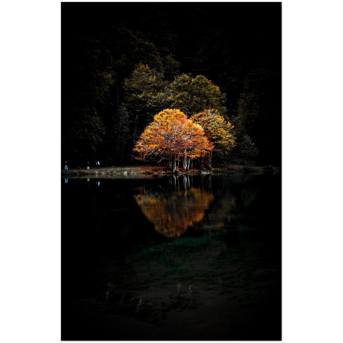 130eb026-d00d-4571-bfee-ae14c45d0200