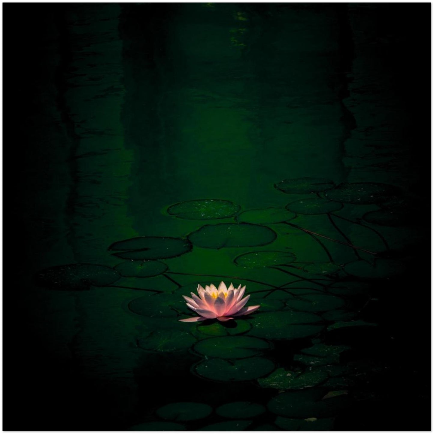 13e71634-eee1-4dad-8033-387dbab94143