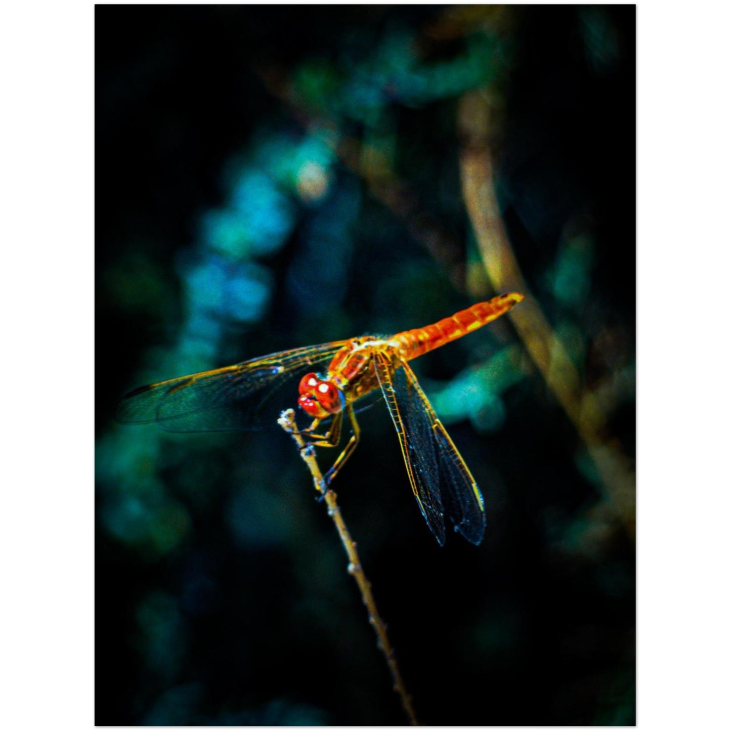 17cd65f4-e5cd-4718-bb56-bb4b8f4b4308