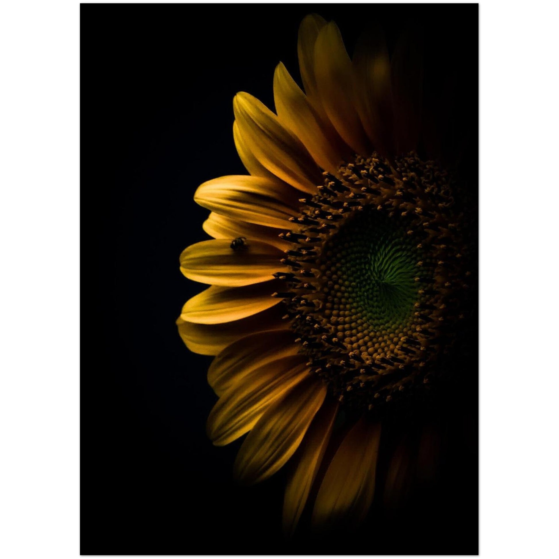 18f30519-acff-480a-9db4-ba0bfaf610e7