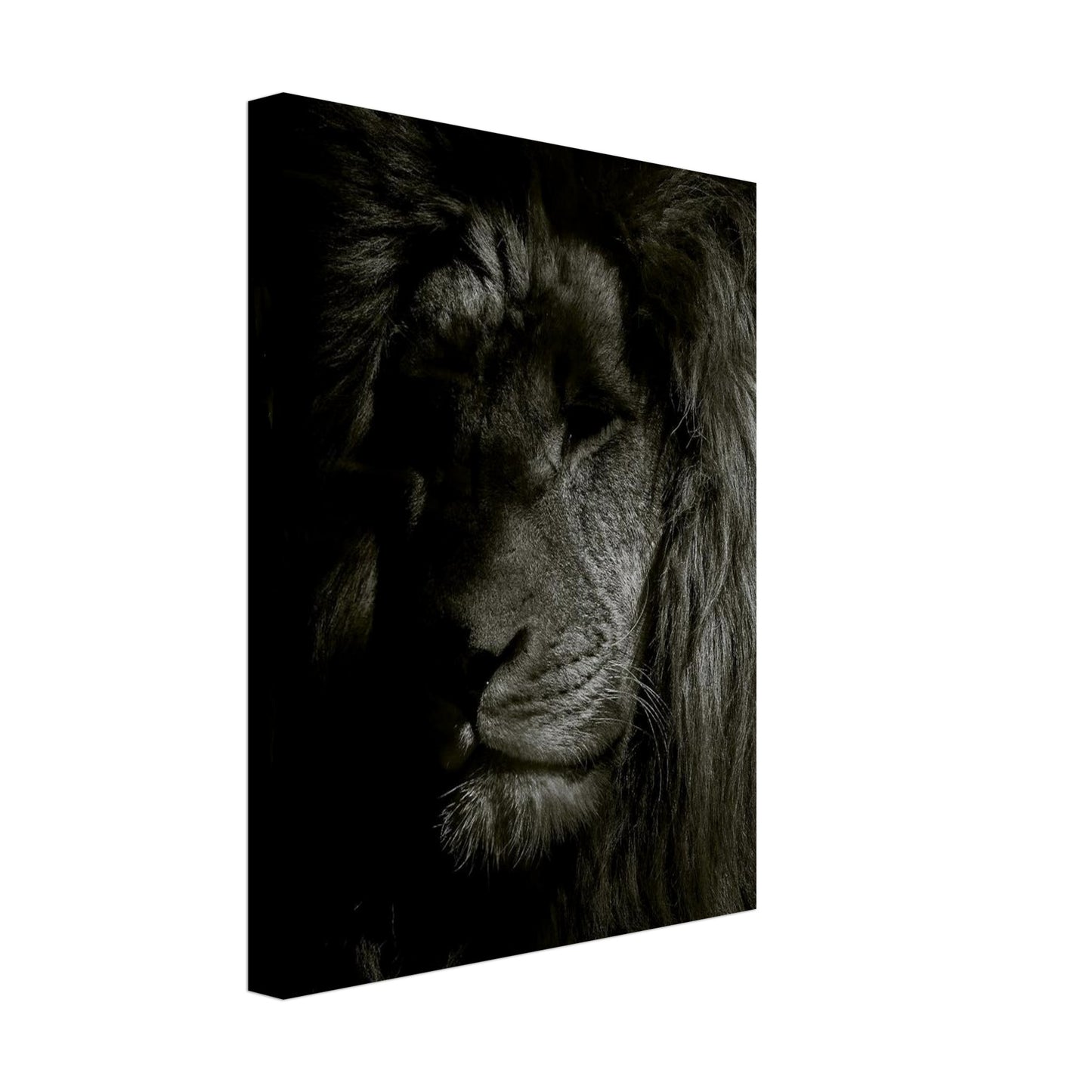 192a2e87-498f-4762-98ec-32539ab86499