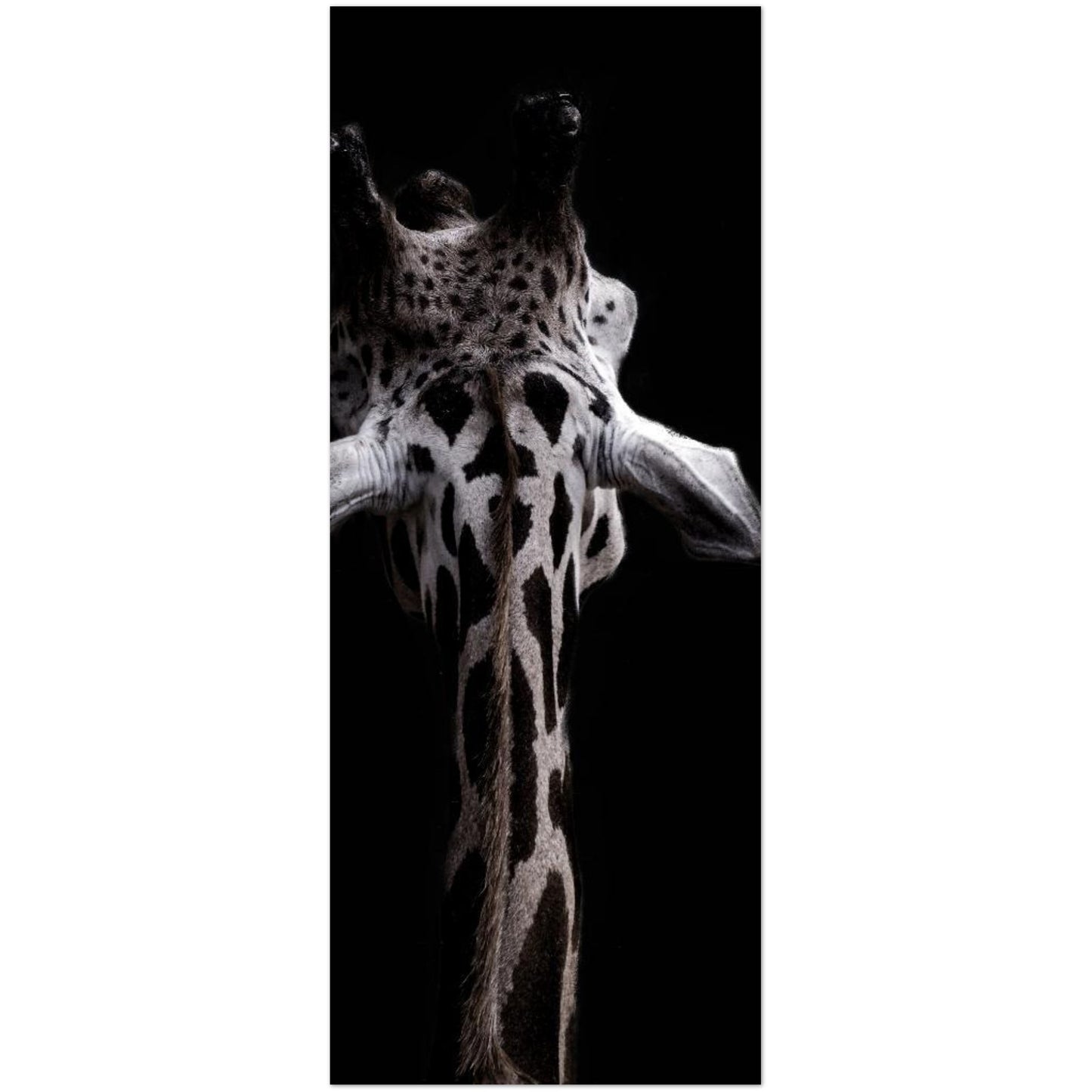 1a76e554-2bf0-4e6f-85b2-458c449ce800