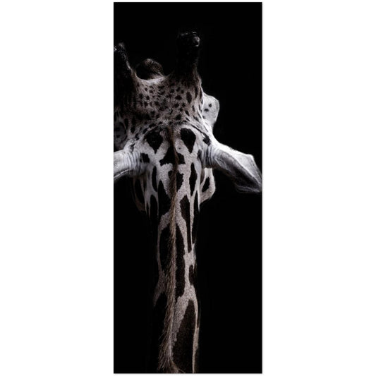 1a76e554-2bf0-4e6f-85b2-458c449ce800