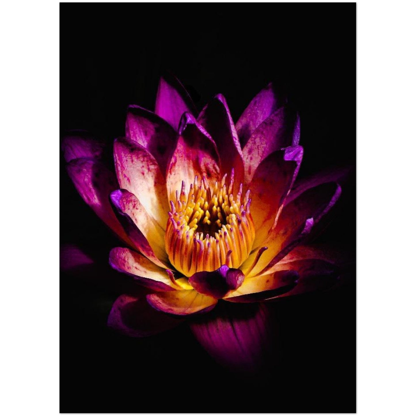 1e0e681b-e1bd-4003-9981-6fbfad767190