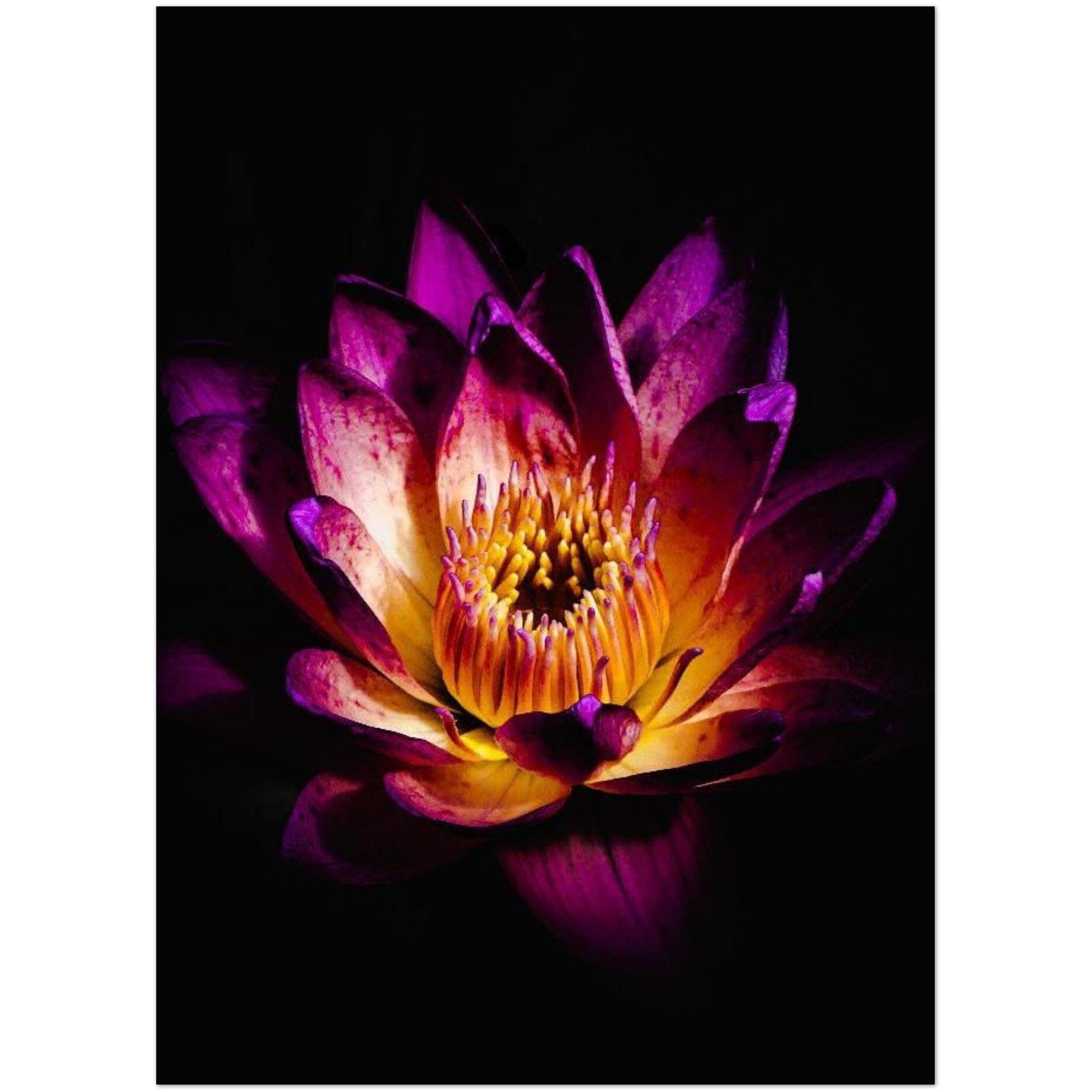 1e0e681b-e1bd-4003-9981-6fbfad767190