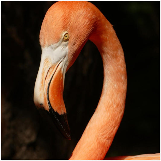 1e33fbbb-8988-4260-bd55-279913d7327b