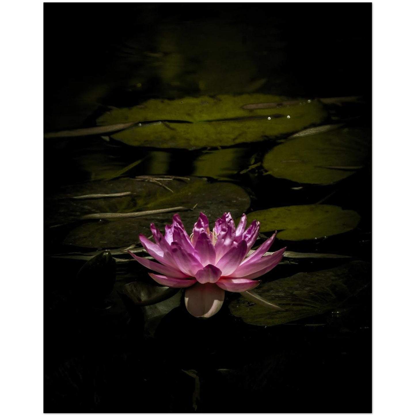 1e41f651-9399-4d10-b159-48c0376cd485