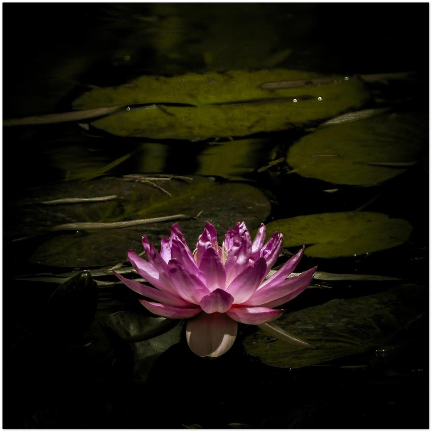 21553aa5-fe03-461d-8dbe-759383b25124