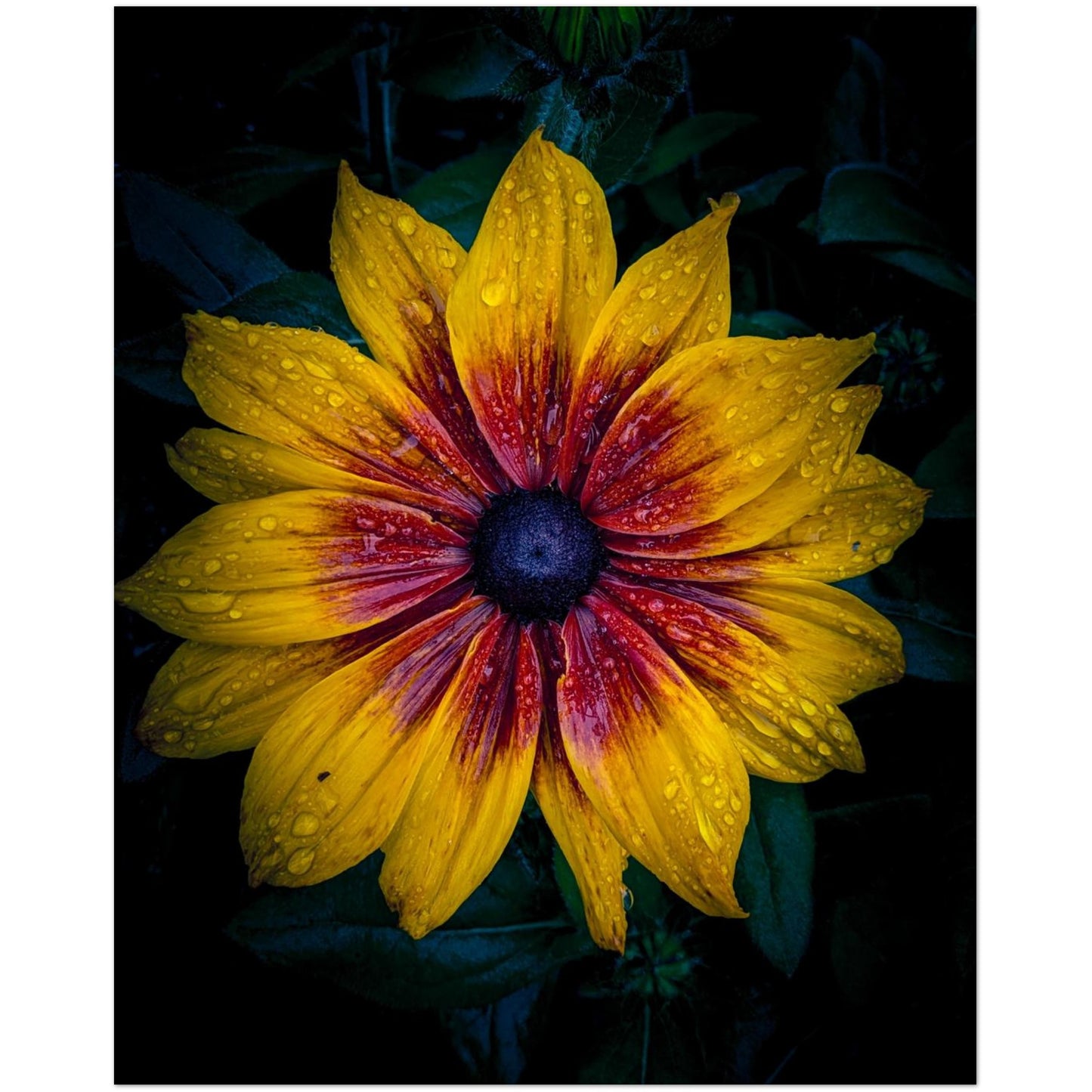 21951860-0787-4d11-8052-6326cce42bfa