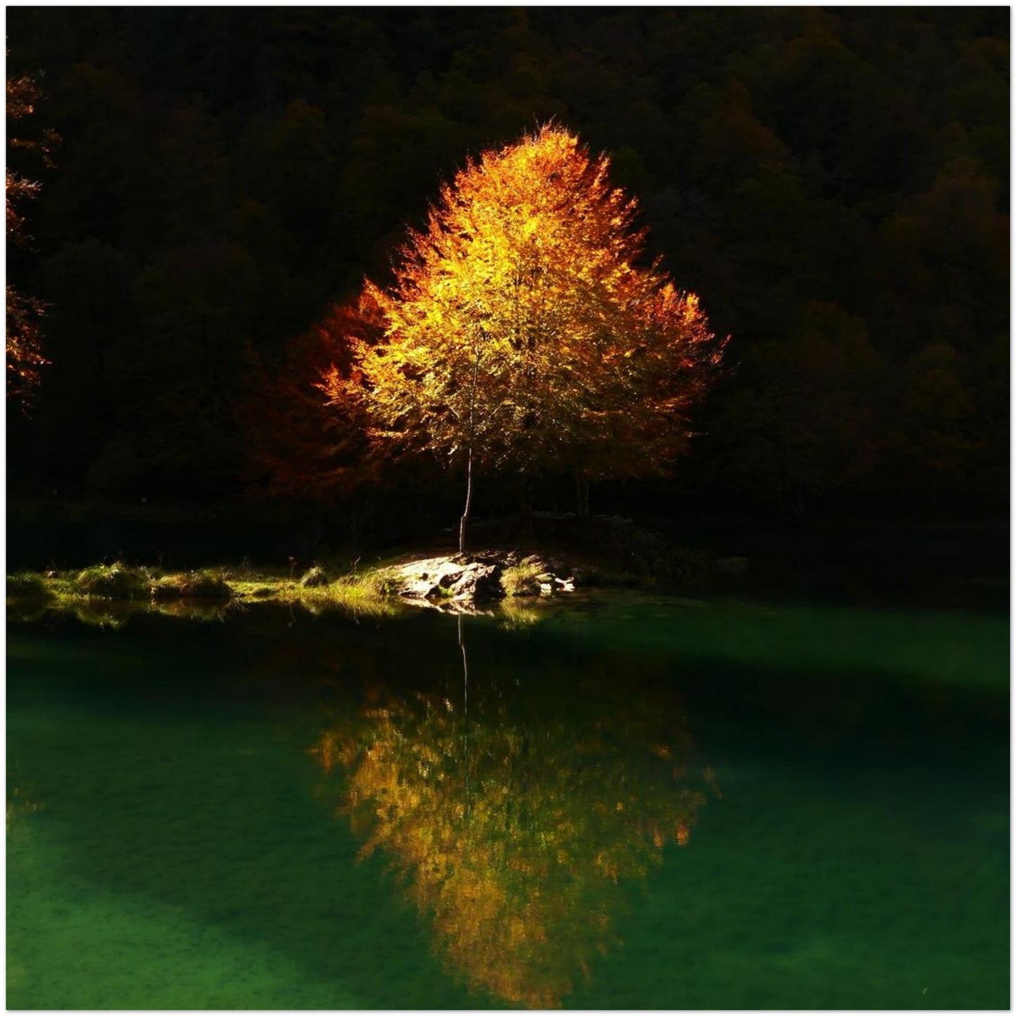 21a776cd-b234-4d5b-b3b9-c6c2036e5b38