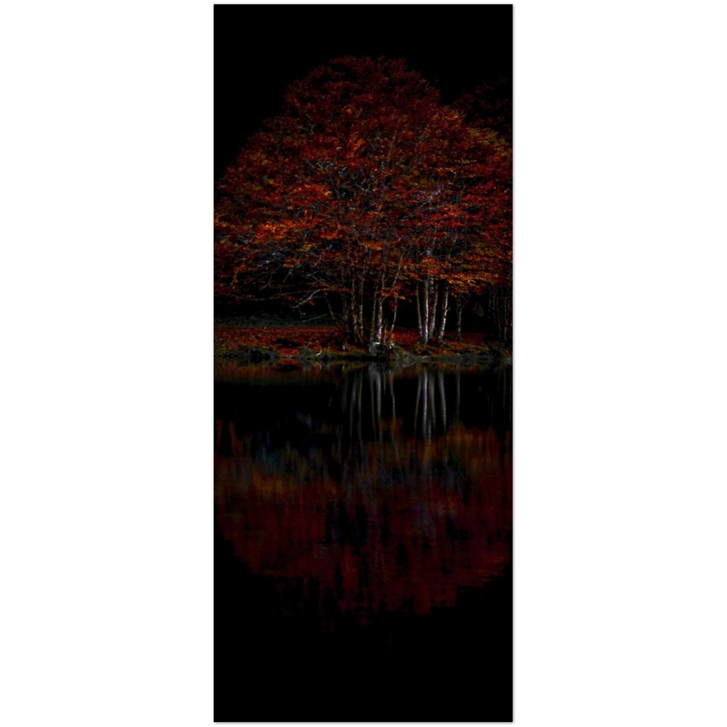 2246ff5a-5614-4f2b-96f2-475b25274451