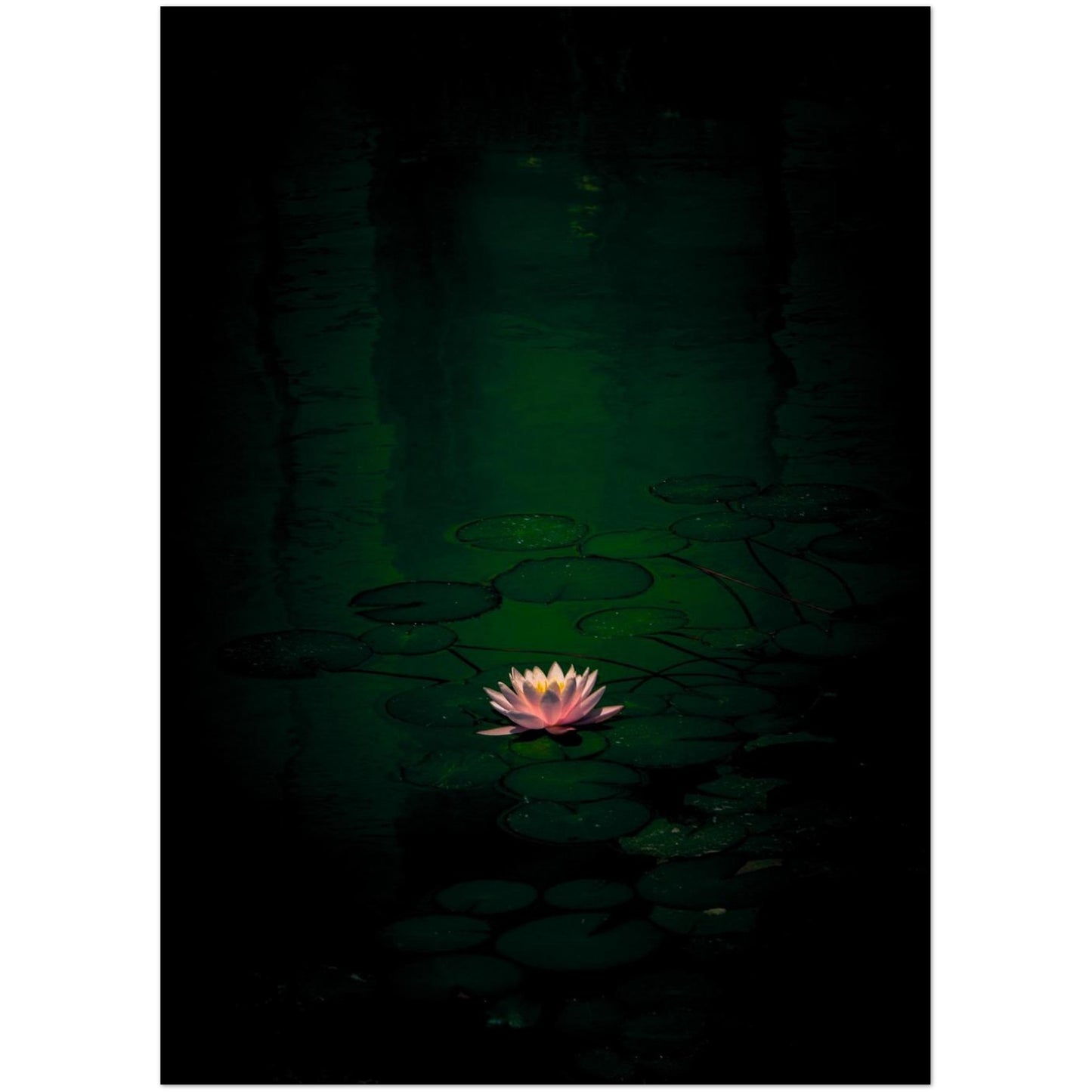 237cbdfd-9acd-4cb3-baac-0b001a75e022