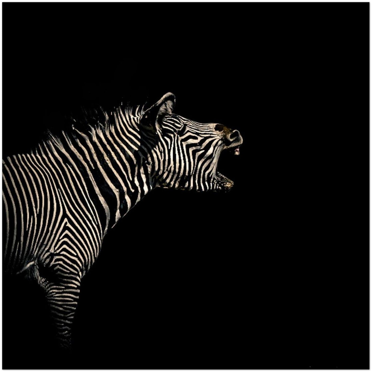 2420757a-7568-4655-a5bf-1f6c605dada9