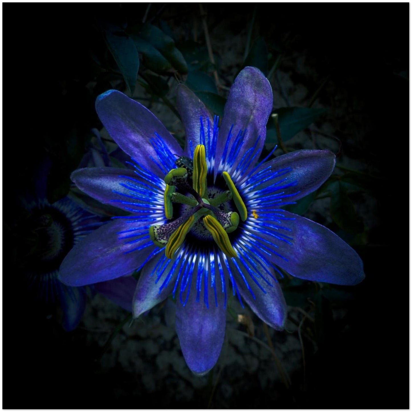 24e06e8f-478f-4d7c-9cd3-a044d1588327