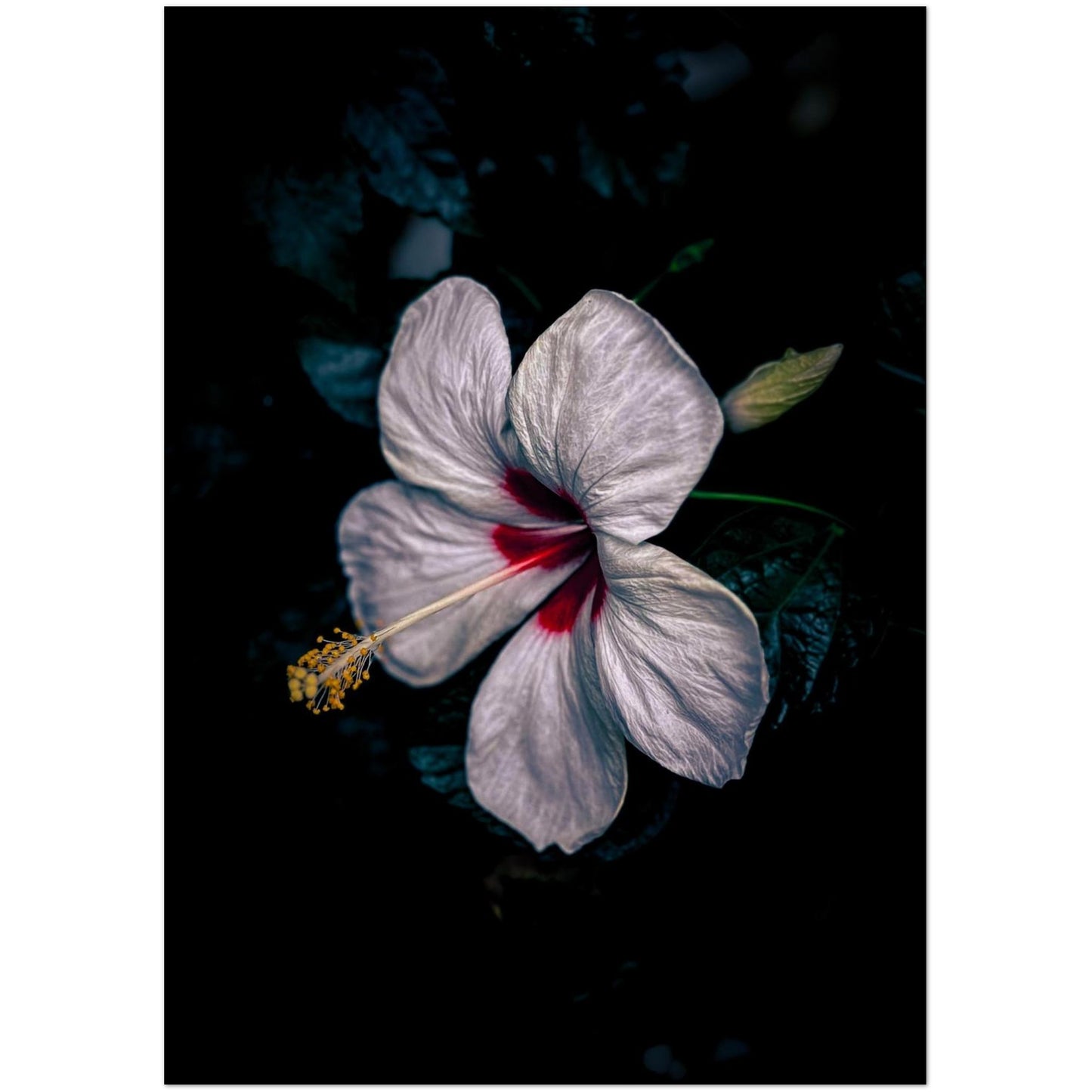 25e89ad2-385d-4f29-8237-ca9a44c8b3a2