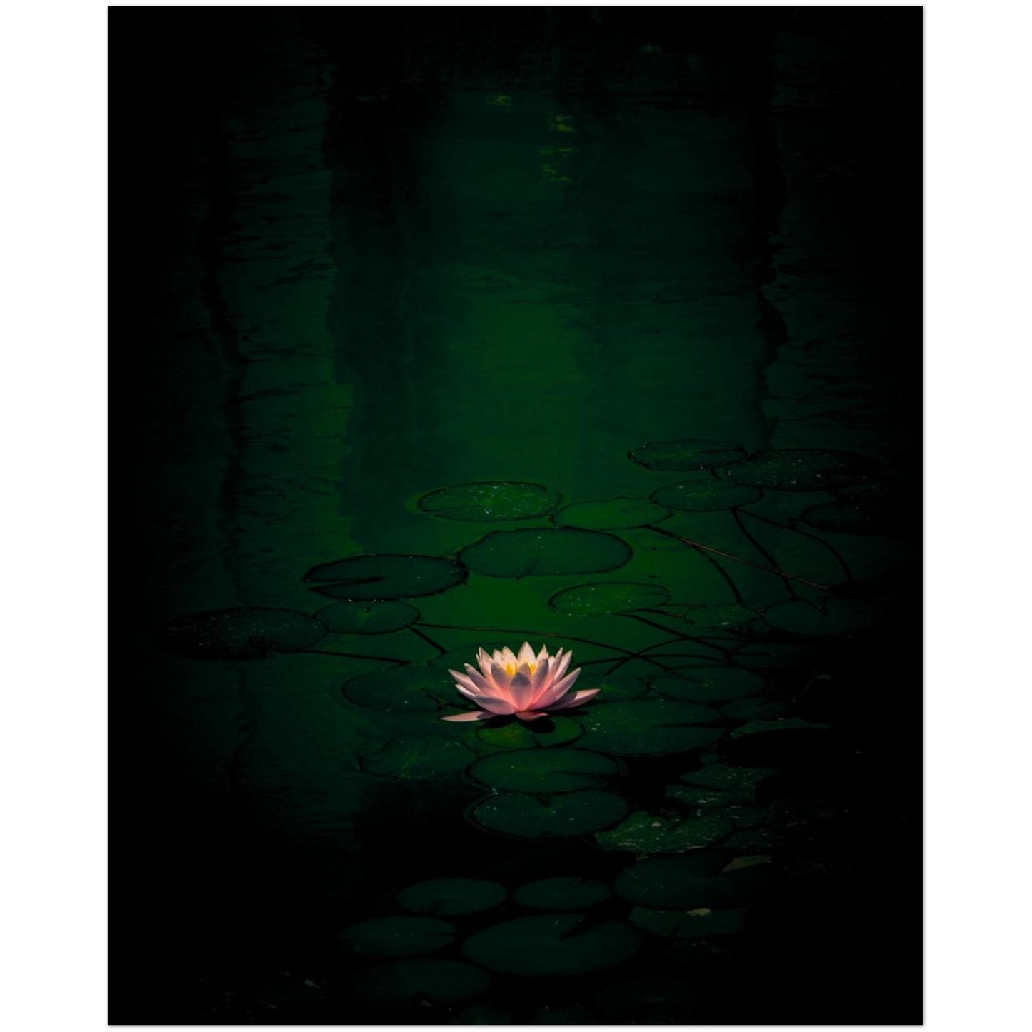 27c7e125-7b34-4861-a0ba-40216a0bbdd5