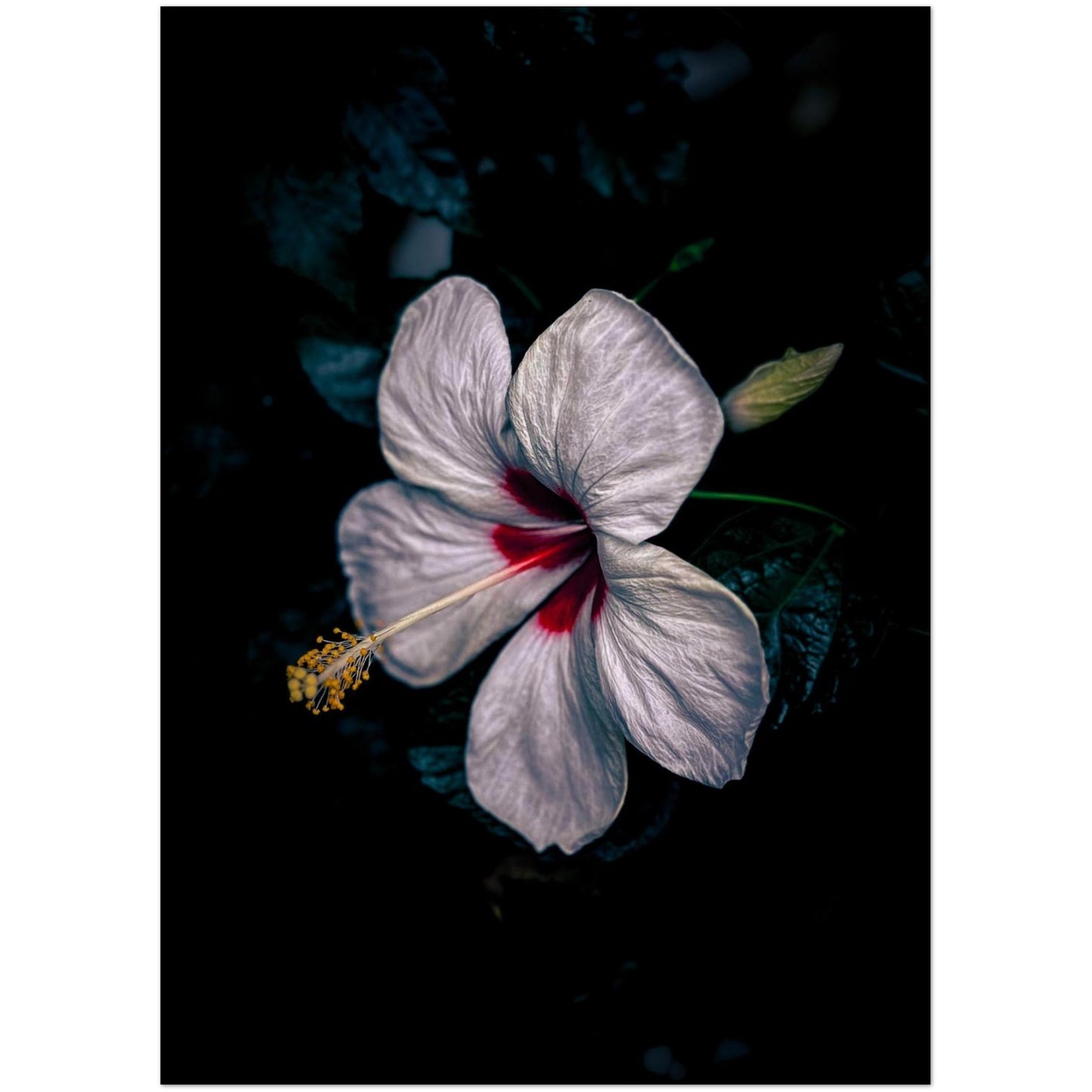 28198ea6-5184-4a30-abe4-099527b228e4